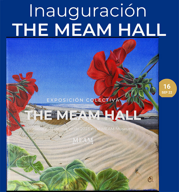 Poster MEAM HALL Exhibition
